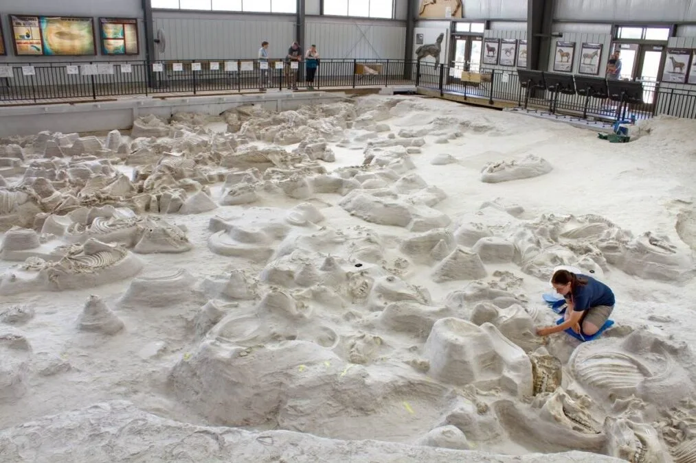 The Rhino Barn at Ashfall Fossil Beds State Historical Park