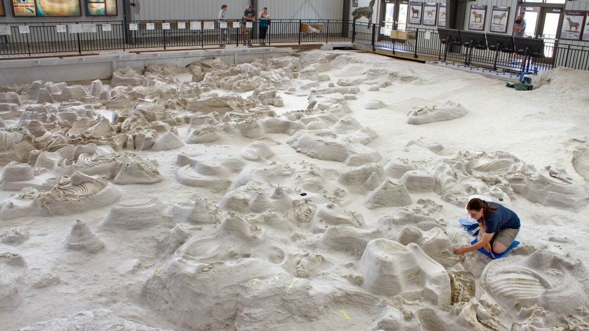 The Rhino Barn at Ashfall Fossil Beds State Historical Park
