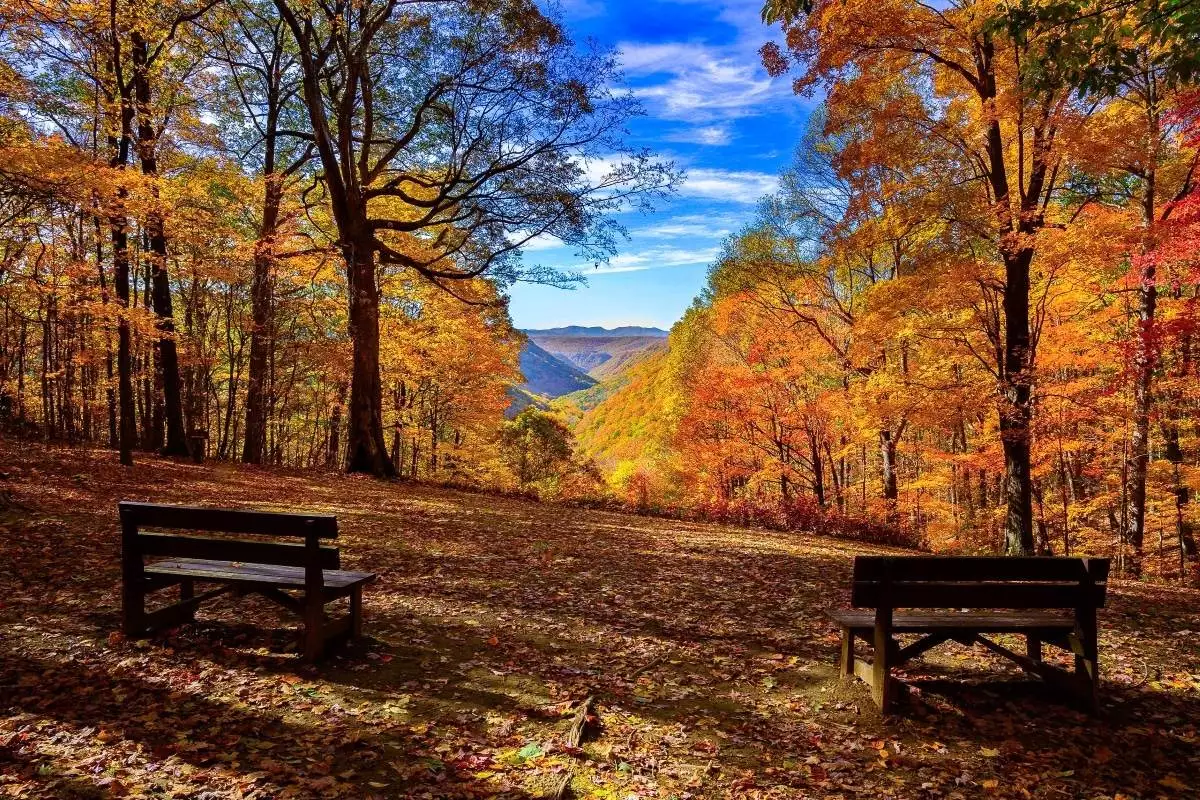 benches at an overlook point at Babcock State Park