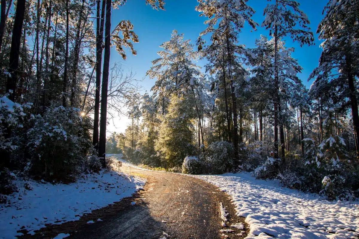 St. Bernard State Park