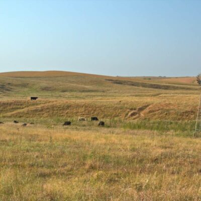 Bowring Ranch State Historical Park