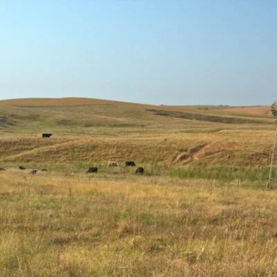Bowring Ranch State Historical Park
