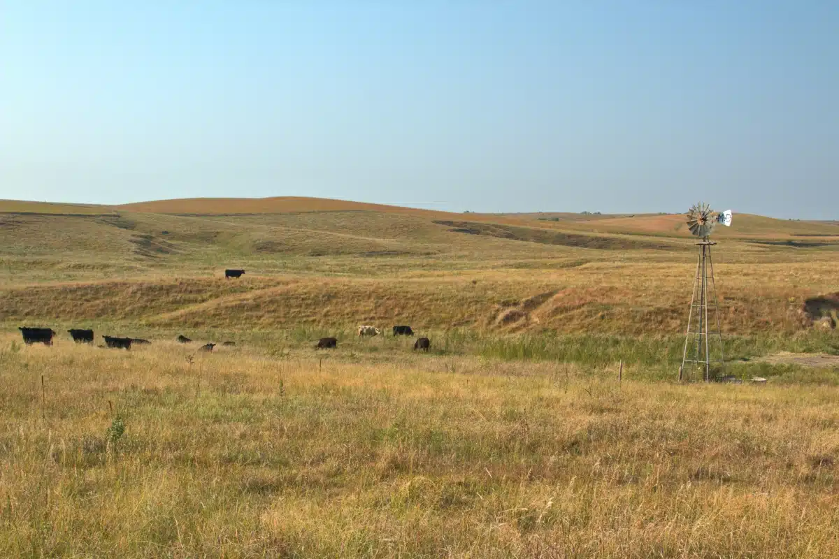 Bowring Ranch State Historical Park