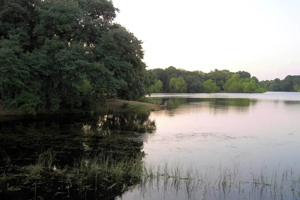 Buescher State Park Lake