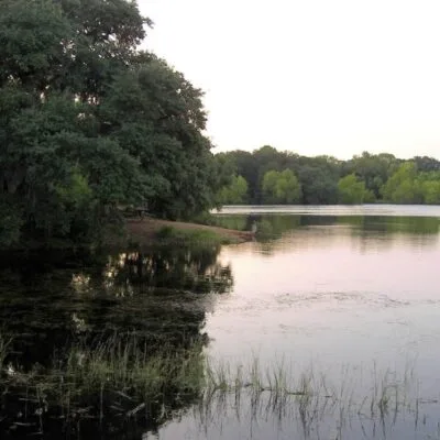 Buescher State Park