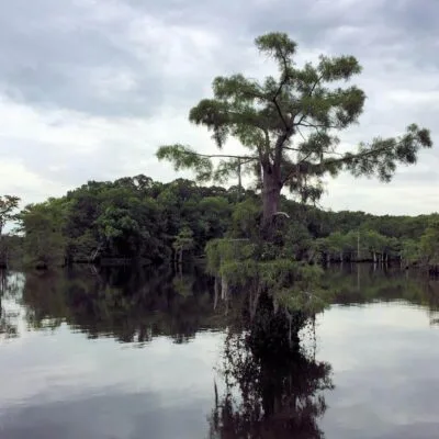 Chicot State Park