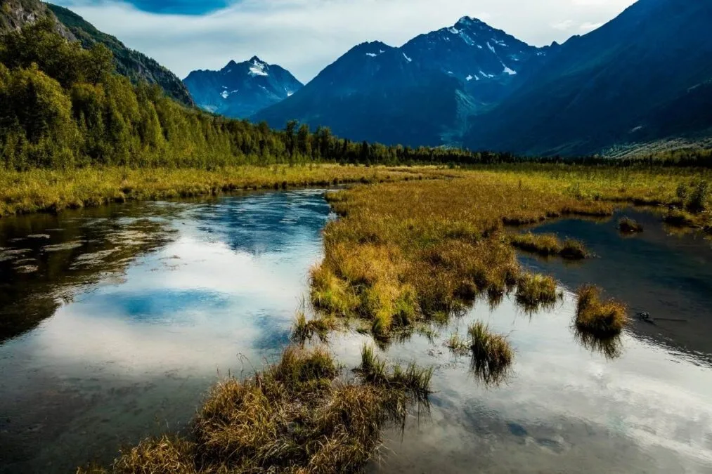Chugach State Park 17 marsh with mountains in the background at Chugach State Park