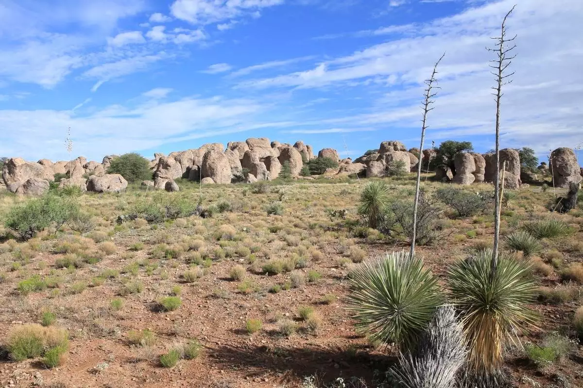 desert landscape at City of Rocks State Park
