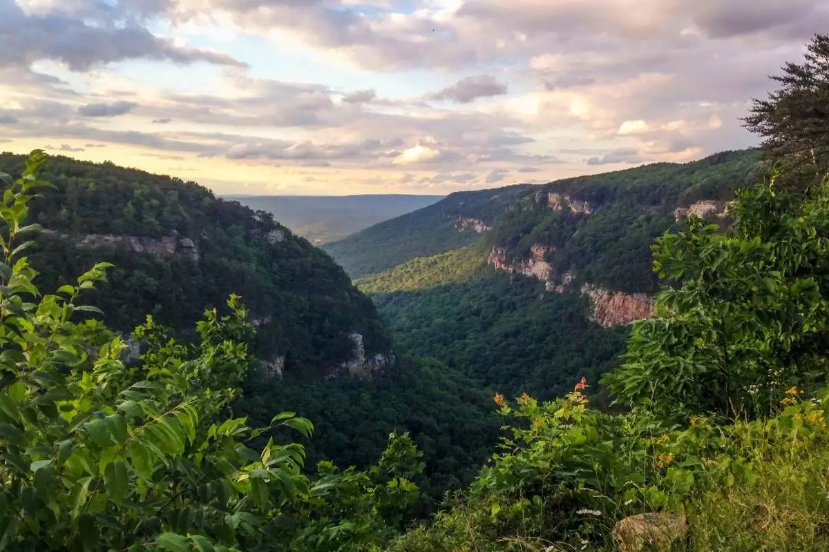 View from the top of Cloudland Canyon State Park