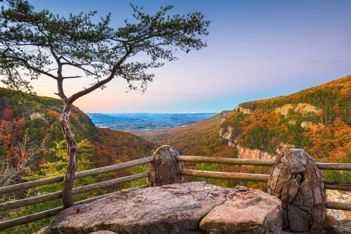 view of the canyon below at the overlook at Cloudland Canyon State Park