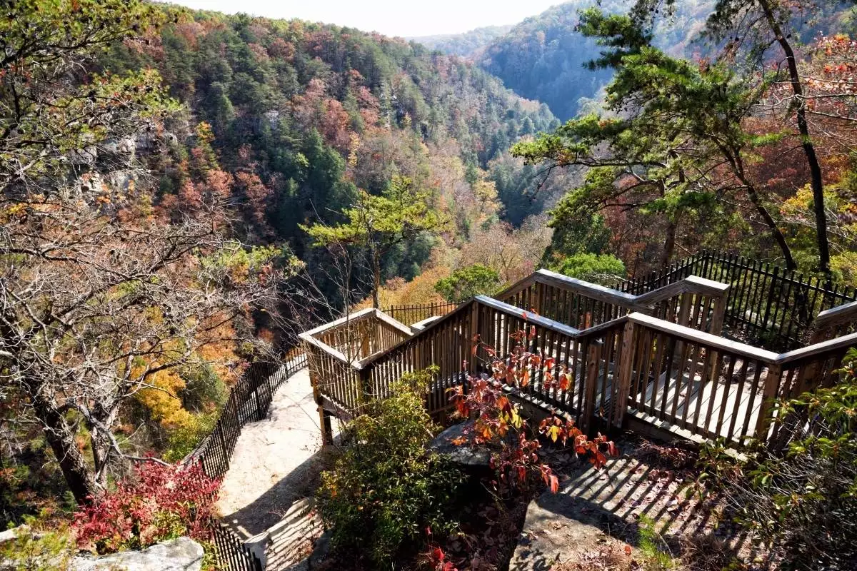 wooden stairs that climb to the top of Cloudland Canyon State Park