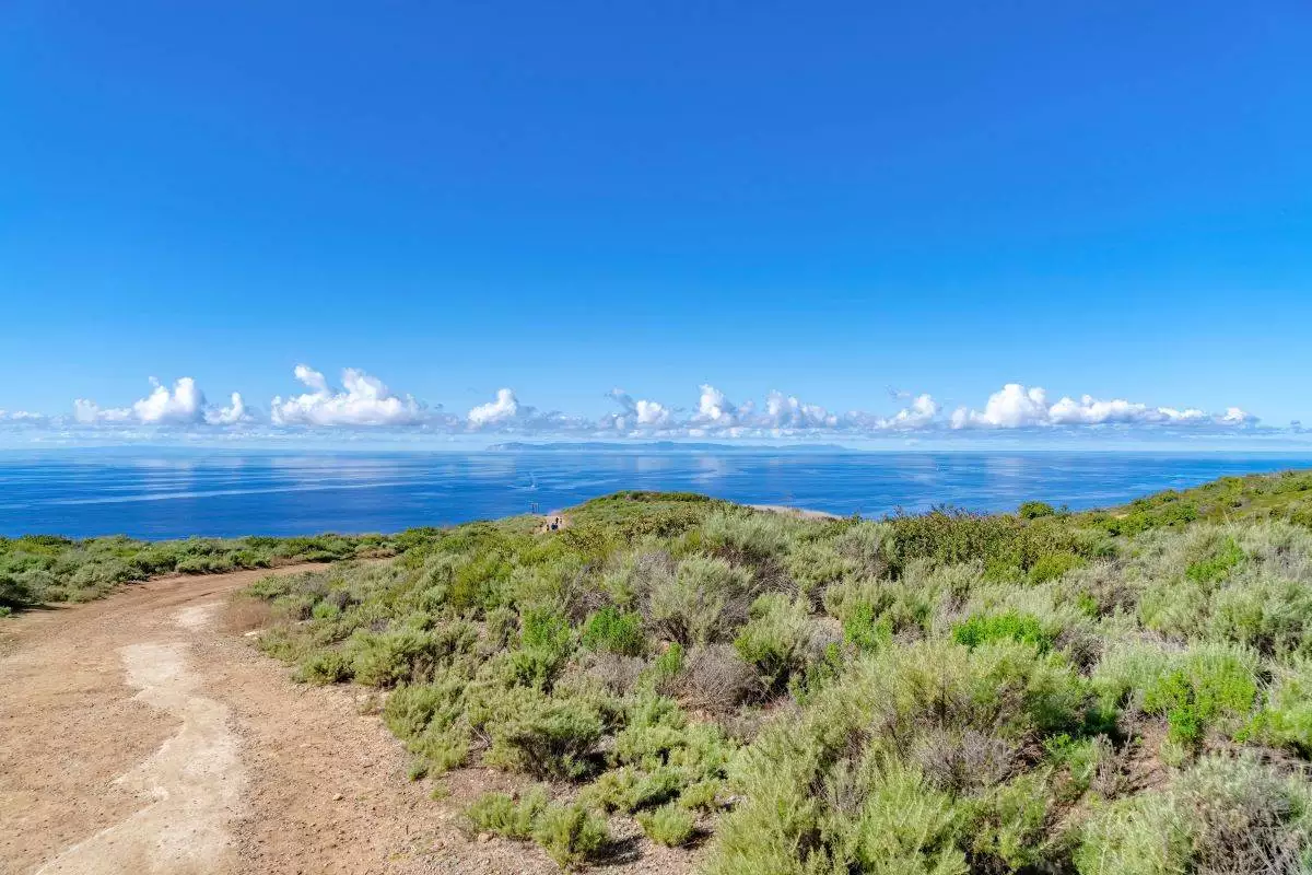 dirt hiking trail at Crystal Cove State Park on a sunny day