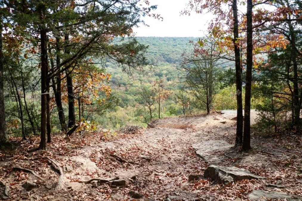 view from the top of the mountain hiking trail at Devil's Den State Park