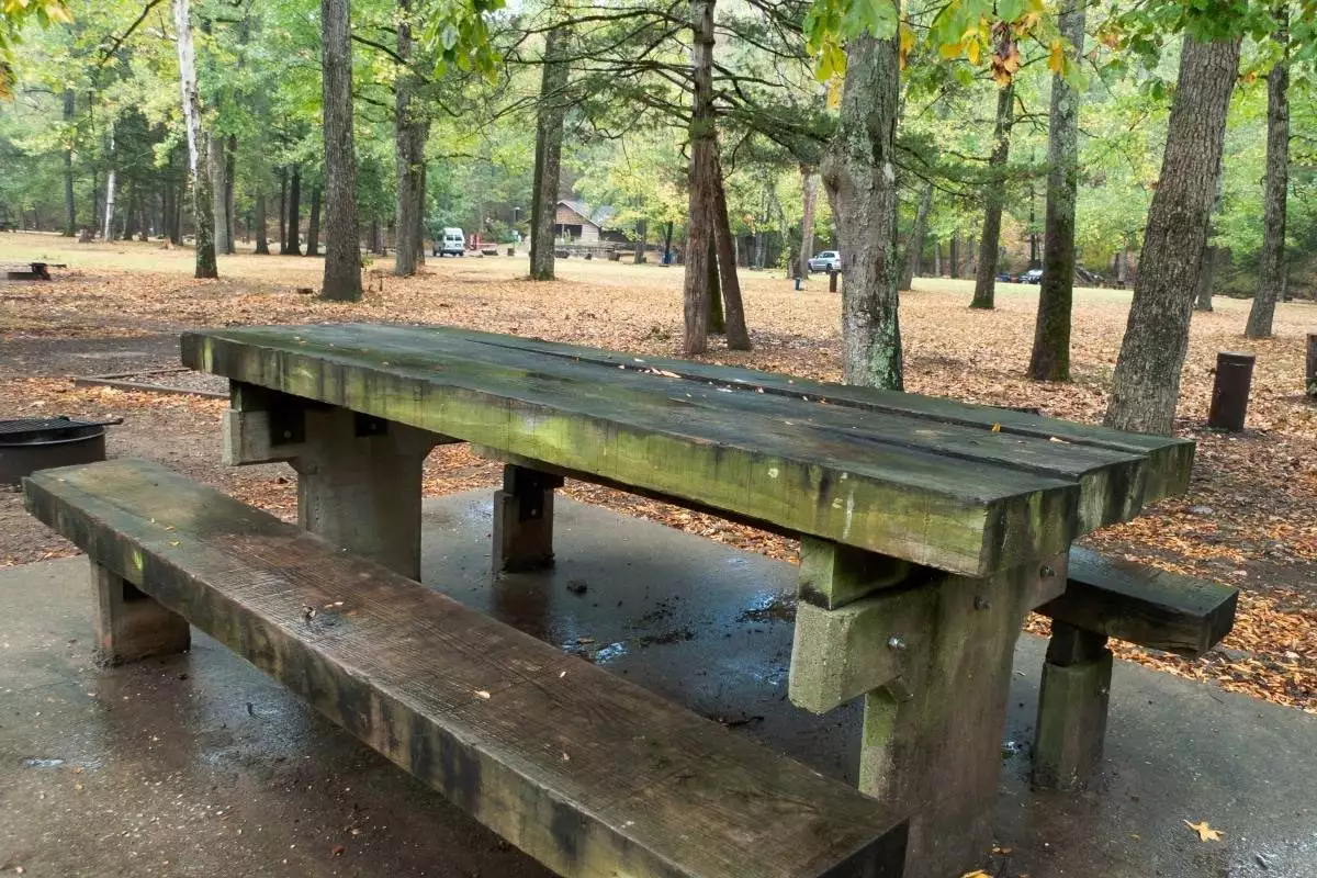 picnic table at the campground at Devil's Den State Park