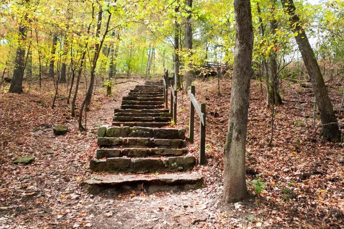 stone stairs on a trail through Devil's Den State Park
