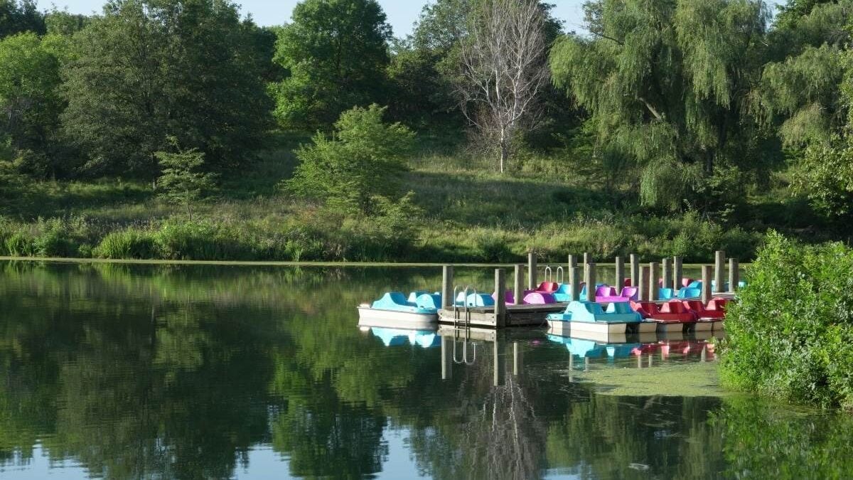 pedal boats on the lake at Eugene T. Mahoney State Park