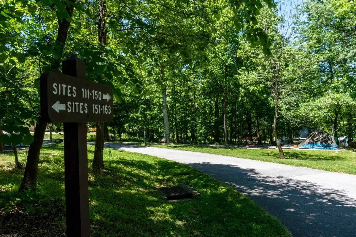 campsites in the woods at Greenbrier State Park