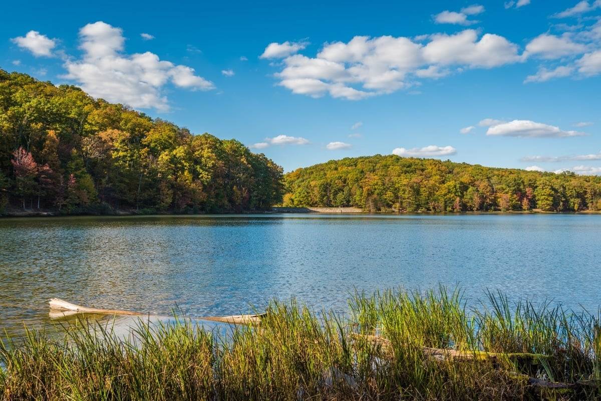 Escape to the Mountains: Maryland's Greenbrier State Park Awaits