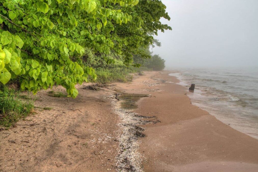 A person walks along the foggy shores of a State Park lake.