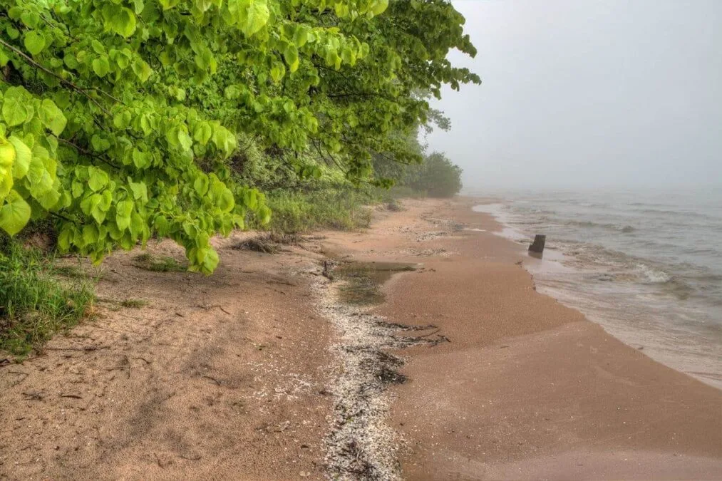 A person walks along the foggy shores of a State Park lake.