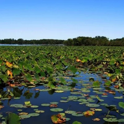 Pymatuning State Park