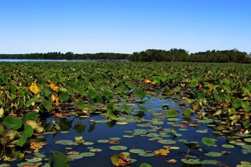 Pymatuning State Park