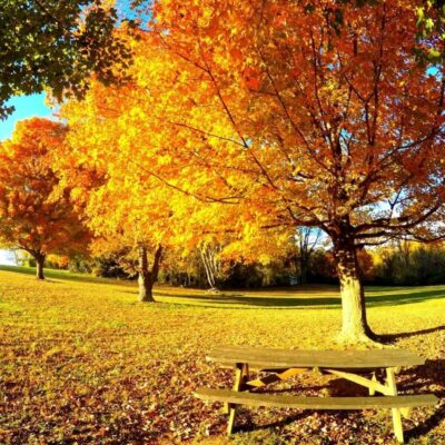 Brandywine Creek State Park