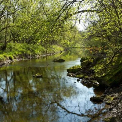 Carley State Park