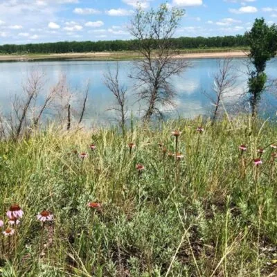 Cross Ranch State Park