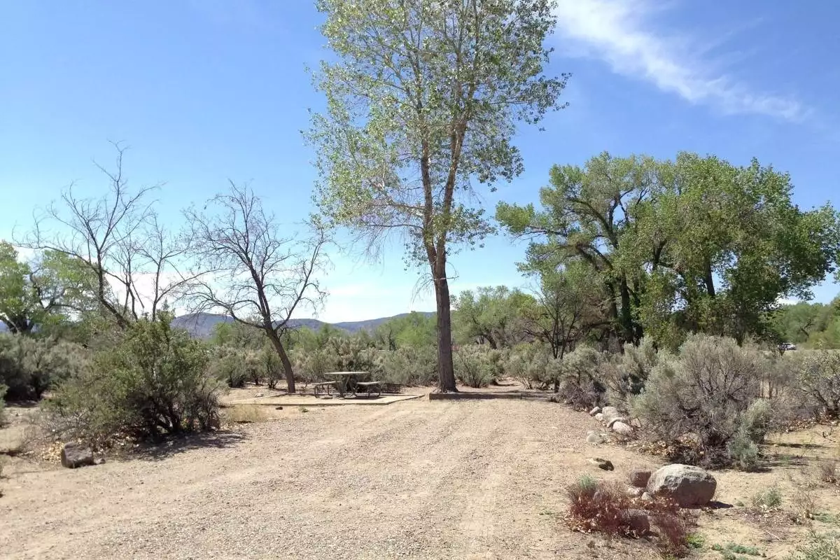 Typical campsite at Dayton State Park