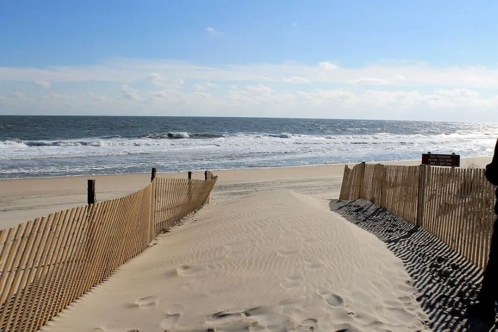 The Beach at Fenwick Island State Park