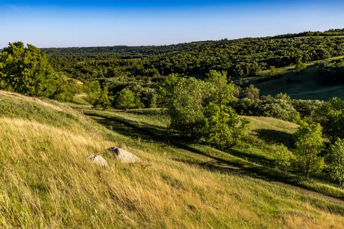 Hills in Fort Ransom State Park, North Dakota, USA