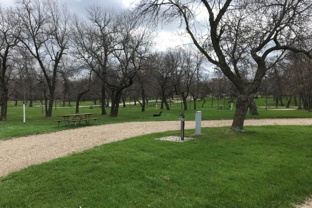 Campsites under the trees at Grahams Island State Park