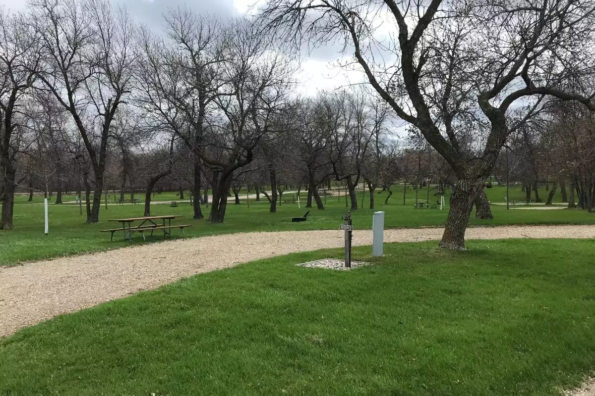 Campsites under the trees at Grahams Island State Park