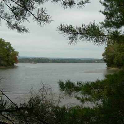 Reelfoot Lake State Park
