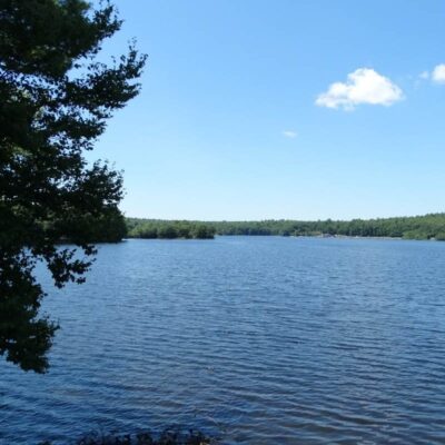 Otter River State Forest
