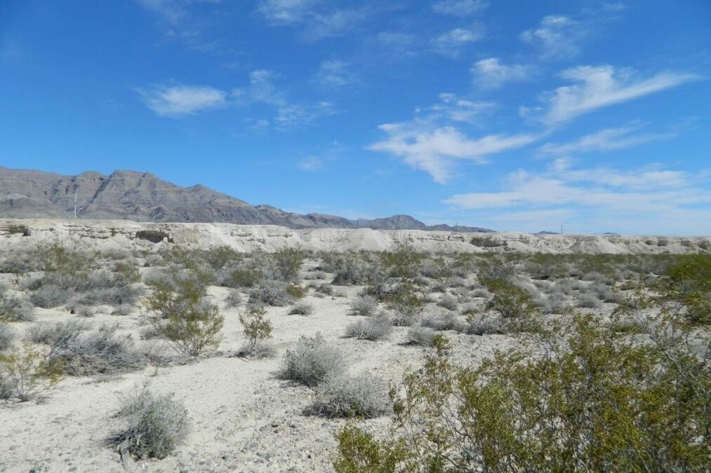 Desert landscape at Ice Age Fossils State Park