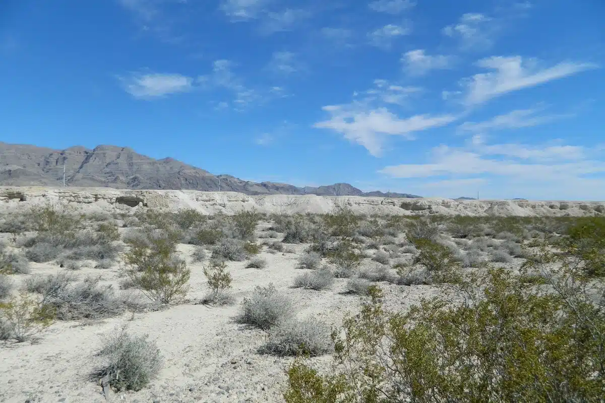 Ice Age Fossils State Park
