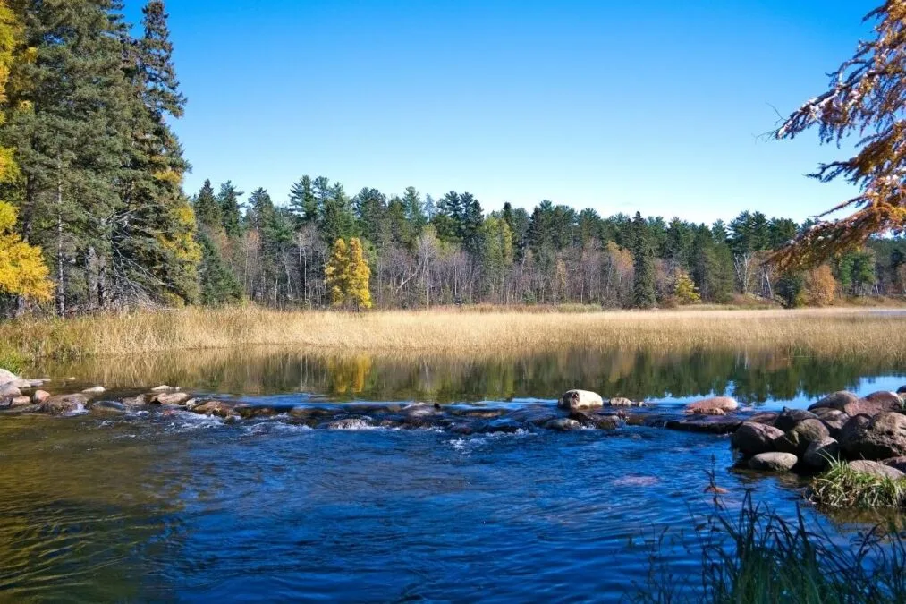 River at Itasca State Park on a clear day