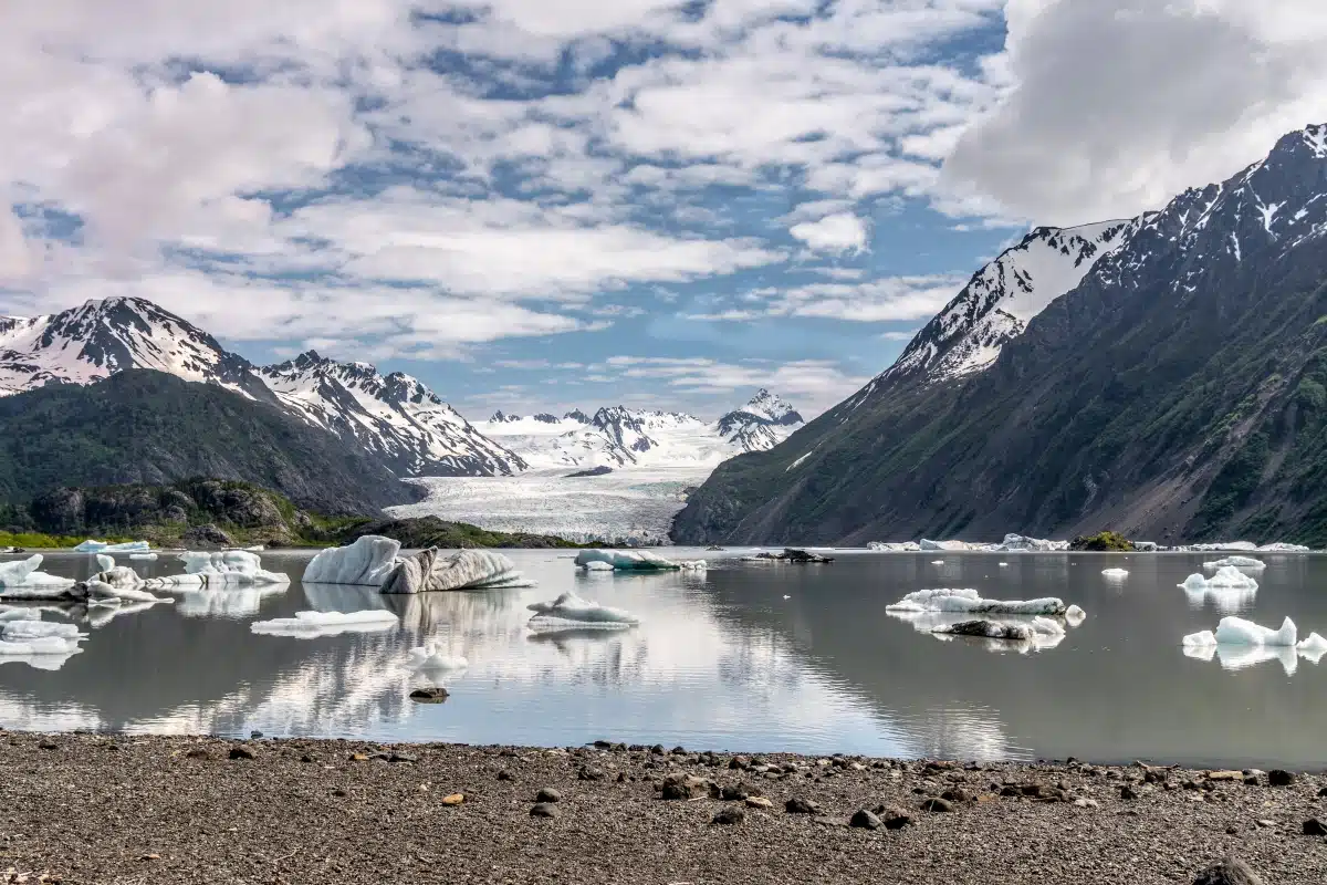 ice floating in water in front of a glacier at Kachemak Bay State Park