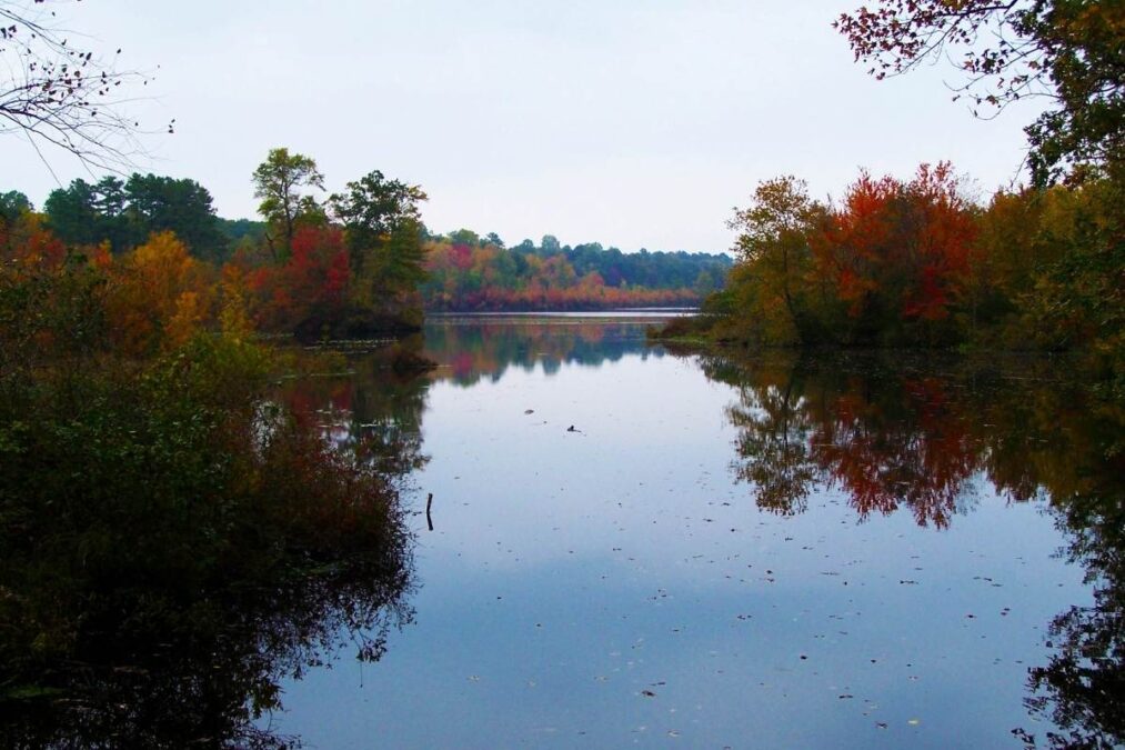 Killens Pond State Park in Autumn