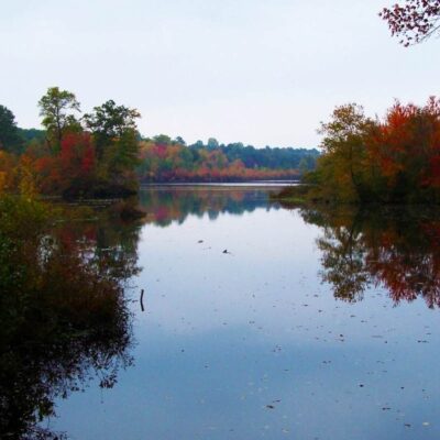 Killens Pond State Park