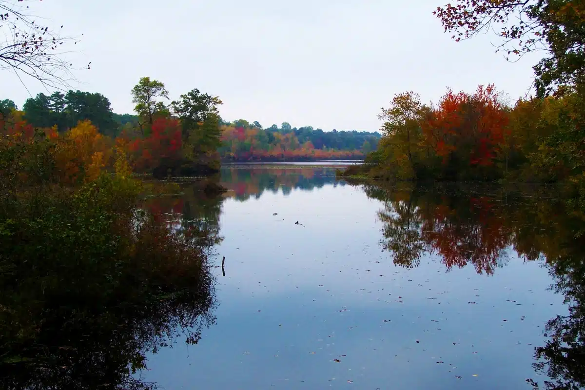 Killens Pond State Park