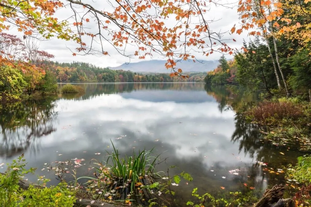Waterbury Reservoir at Little River State Park