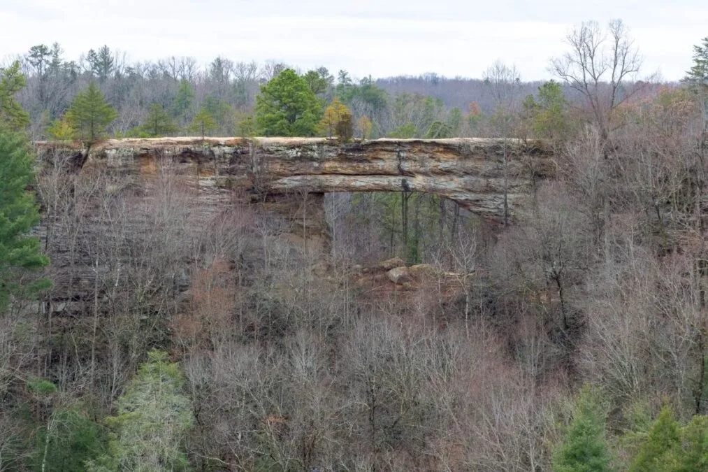 a view of the rock bridge at Natural Bridge State Resort Park