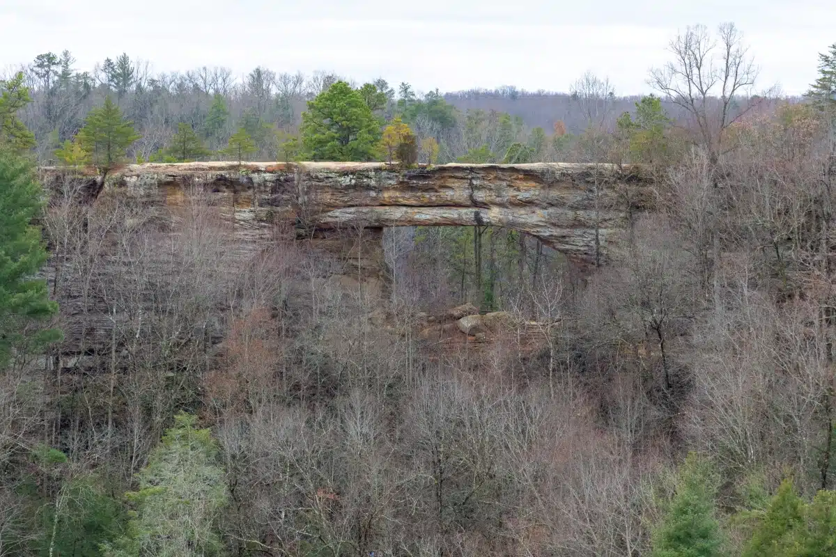 Natural Bridge State Resort Park