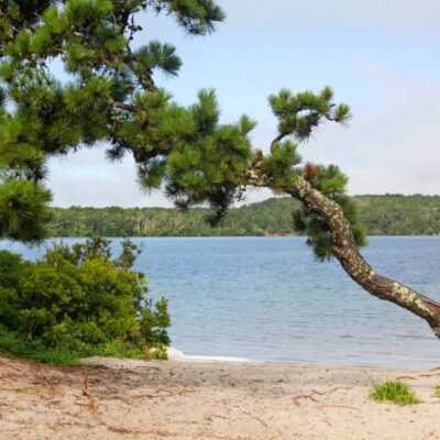 Maudslay State Park