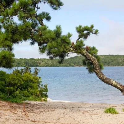 Scusset Beach State Reservation