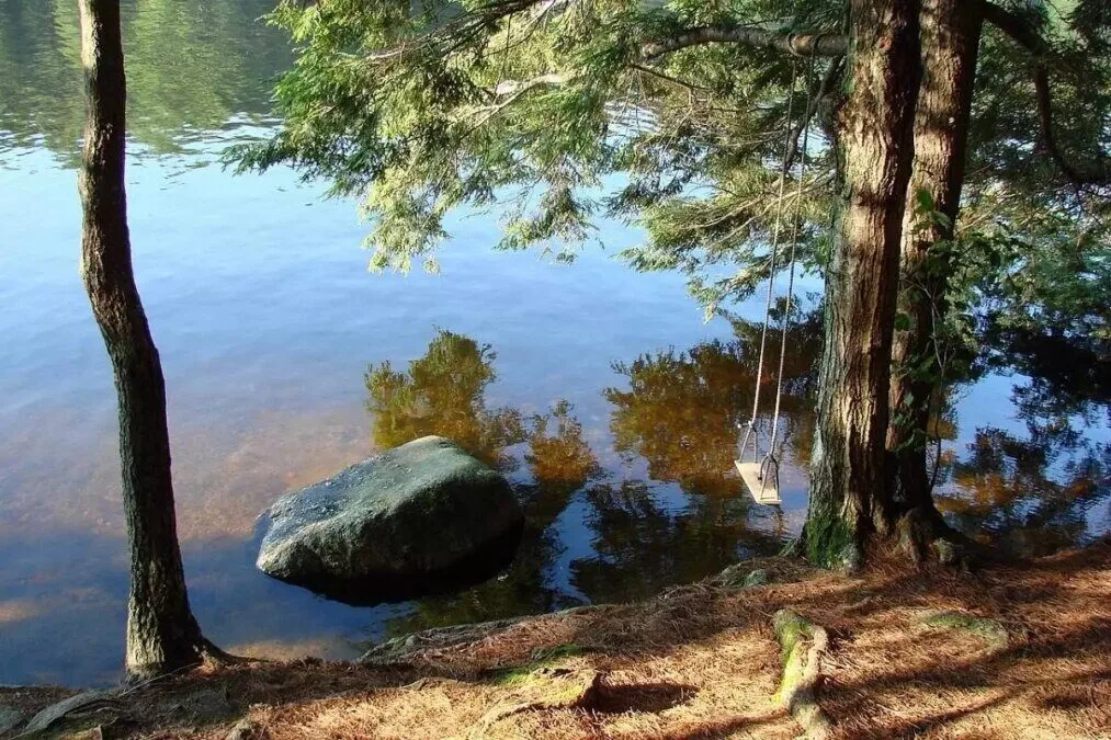 The edge of the lake on site #7 at Pawtuckaway State Park