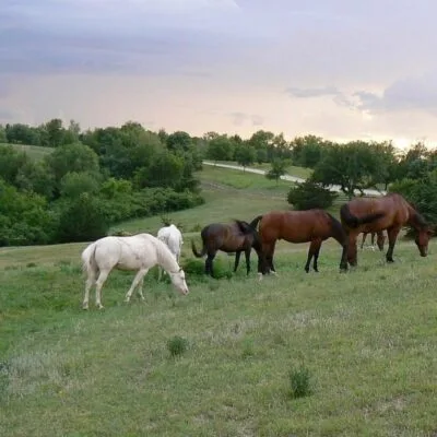 Platte River State Park